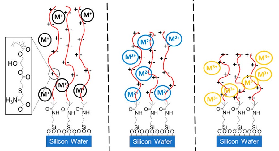 Hetero-Charged Polymers