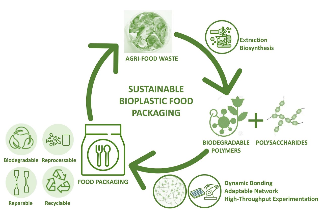 Sustainable Biocomposites